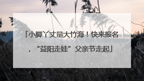 小脚丫丈量大竹海！快来报名，“益阳走娃”父亲节走起