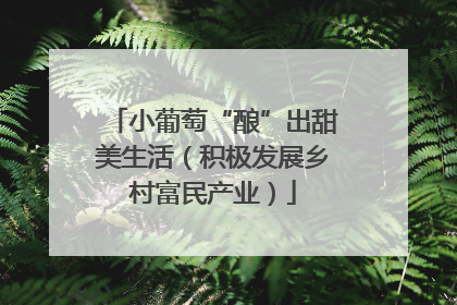 小葡萄“酿”出甜美生活（积极发展乡村富民产业）