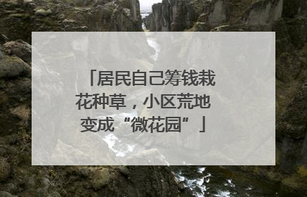 居民自己筹钱栽花种草，小区荒地变成“微花园”