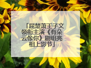 屈楚萧王子文领衔主演《有朵云像你》剧组亮相上影节