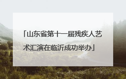 山东省第十一届残疾人艺术汇演在临沂成功举办