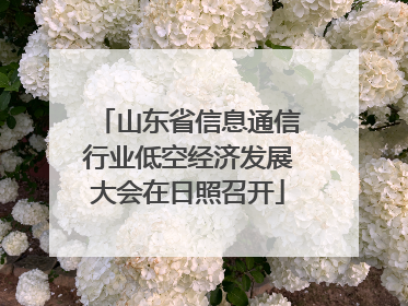 山东省信息通信行业低空经济发展大会在日照召开