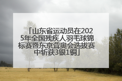 山东省运动员在2025年全国残疾人羽毛球锦标赛暨东京聋奥会选拔赛中斩获3银1铜