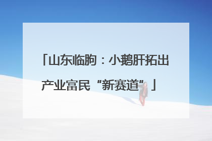 山东临朐：小鹅肝拓出产业富民“新赛道”