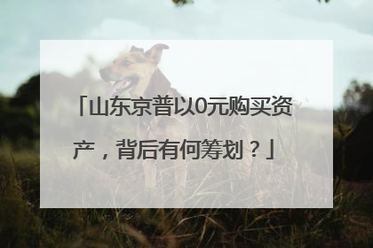 山东京普以0元购买资产，背后有何筹划？