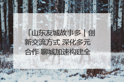 山东友城故事多｜创新交流方式 深化多元合作 聊城加速构建全球友城新格局