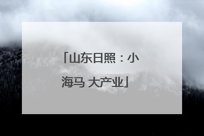 山东日照：小海马 大产业