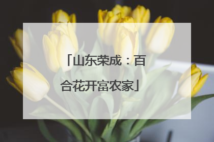 山东荣成：百合花开富农家