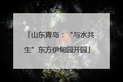 山东青岛：“与水共生”东方伊甸园开园