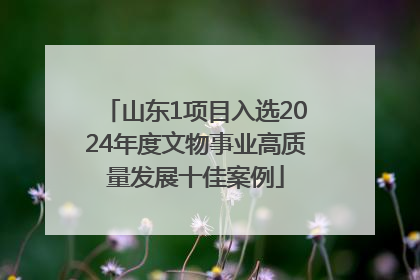 山东1项目入选2024年度文物事业高质量发展十佳案例