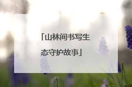 山林间书写生态守护故事