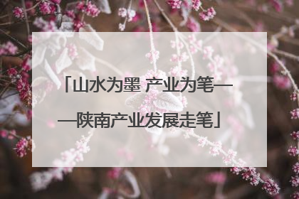 山水为墨 产业为笔——陕南产业发展走笔