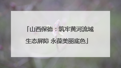 山西保德：筑牢黄河流域生态屏障 永葆美丽底色