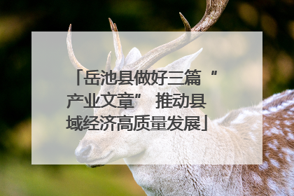 岳池县做好三篇“产业文章” 推动县域经济高质量发展