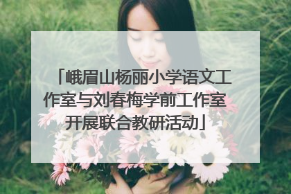 峨眉山杨丽小学语文工作室与刘春梅学前工作室开展联合教研活动