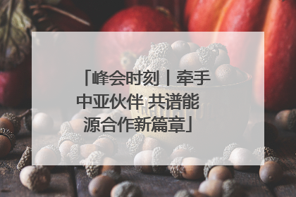 峰会时刻丨牵手中亚伙伴 共谱能源合作新篇章