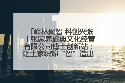 峰林聚智 科创兴张丨张家界旅典文化经营有限公司博士创新站：让土家织锦“智”造出非遗新传奇