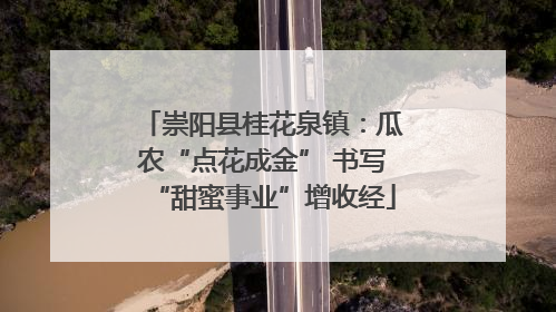 崇阳县桂花泉镇：瓜农“点花成金” 书写“甜蜜事业”增收经