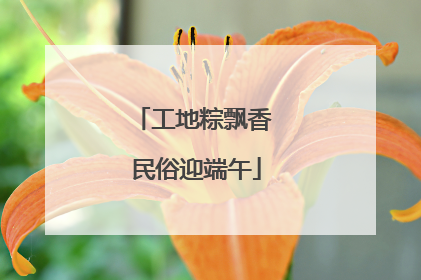 工地粽飘香 民俗迎端午