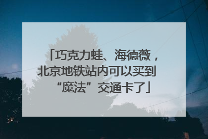 巧克力蛙、海德薇，北京地铁站内可以买到“魔法”交通卡了