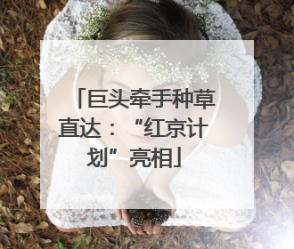 巨头牵手种草直达：“红京计划”亮相