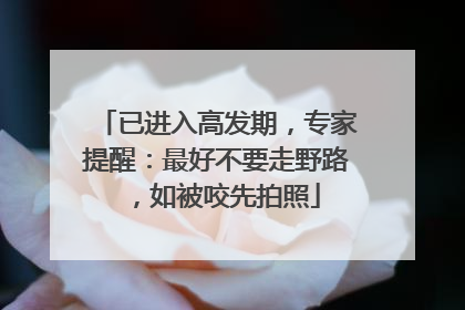 已进入高发期，专家提醒：最好不要走野路，如被咬先拍照
