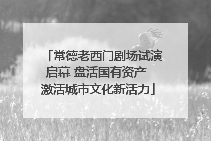 常德老西门剧场试演启幕 盘活国有资产 激活城市文化新活力