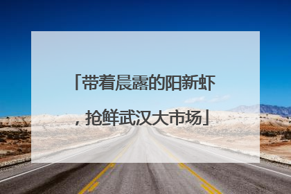 带着晨露的阳新虾，抢鲜武汉大市场