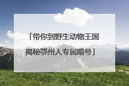 带你到野生动物王国揭秘鄂州人专属暗号