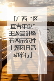 广西“区直青年说”主题宣讲暨五四示范性主题团日活动举行