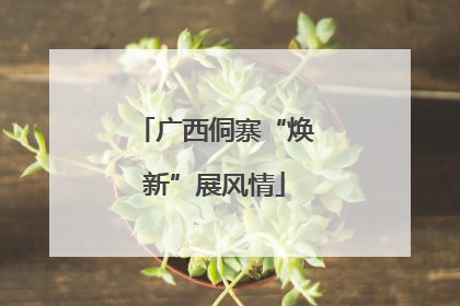 广西侗寨“焕新”展风情