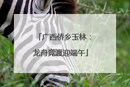 广西侨乡玉林：龙舟竞渡迎端午