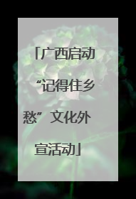 广西启动“记得住乡愁”文化外宣活动