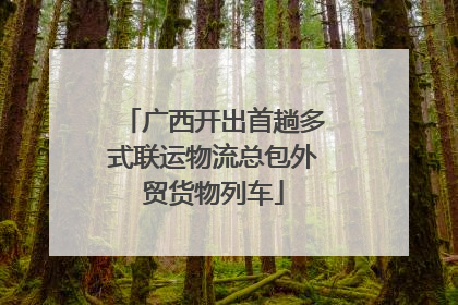 广西开出首趟多式联运物流总包外贸货物列车