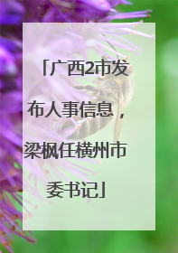 广西2市发布人事信息，梁枫任横州市委书记