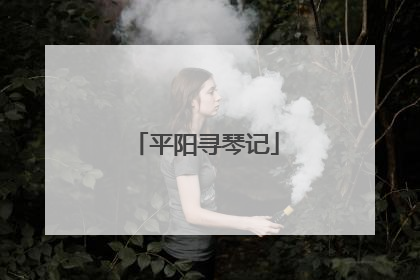 平阳寻琴记