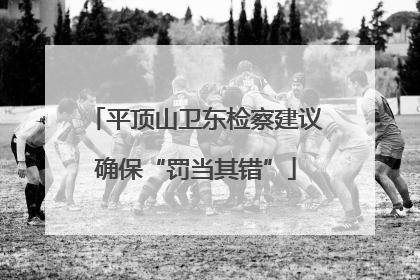 平顶山卫东检察建议确保“罚当其错”