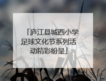 庐江县城西小学足球文化节系列活动精彩纷呈