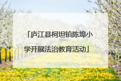 庐江县柯坦镇陈埠小学开展法治教育活动