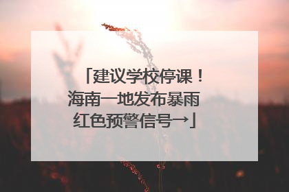 建议学校停课！海南一地发布暴雨红色预警信号→
