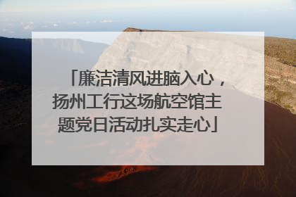 廉洁清风进脑入心，扬州工行这场航空馆主题党日活动扎实走心