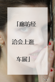 廊坊经洽会上逛车展