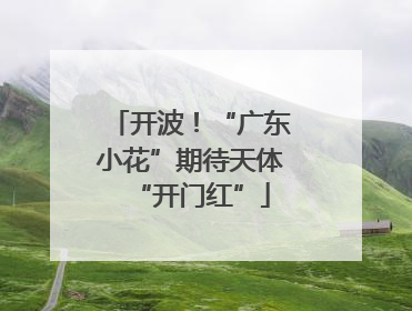 开波！“广东小花”期待天体“开门红”