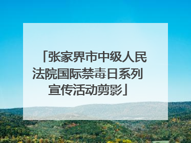 张家界市中级人民法院国际禁毒日系列宣传活动剪影