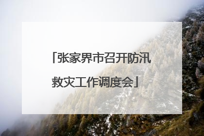 张家界市召开防汛救灾工作调度会
