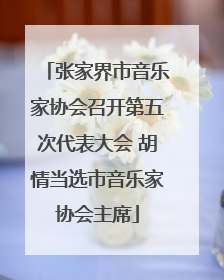 张家界市音乐家协会召开第五次代表大会 胡情当选市音乐家协会主席