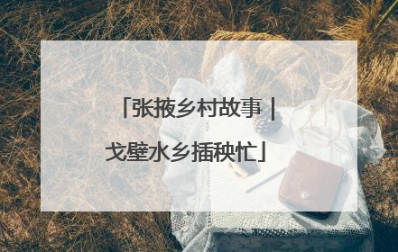 张掖乡村故事｜戈壁水乡插秧忙