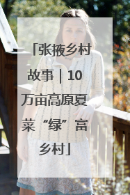 张掖乡村故事｜10万亩高原夏菜“绿”富乡村