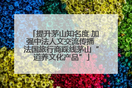 提升茅山知名度 加强中法人文交流传播 法国旅行商踩线茅山“道养文化产品”