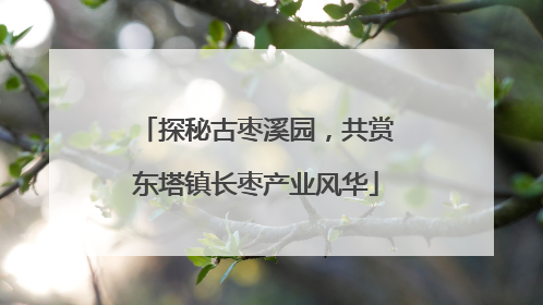 探秘古枣溪园，共赏东塔镇长枣产业风华